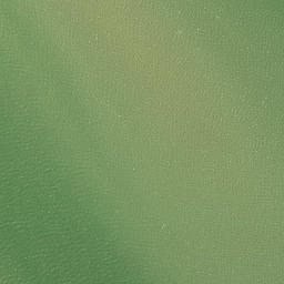 Satellite imagery of Pakaukau Point, NZ