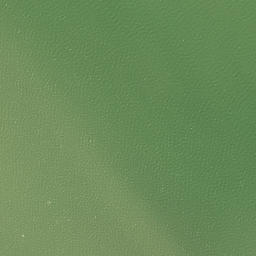 Satellite imagery of Pakaukau Point, NZ