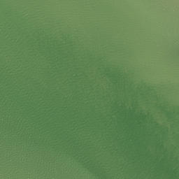 Satellite imagery of Pakaukau Point, NZ