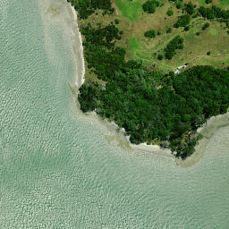 Satellite imagery of Whakapirau/Rocky Point, NZ