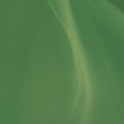 Satellite imagery of Tomb Point, NZ