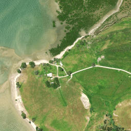 Satellite imagery of Ngaupiko Point, NZ