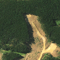 Satellite imagery of Tomb Point, NZ