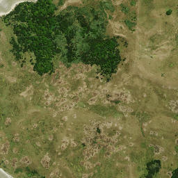 Satellite imagery of Te Hoanga Point, NZ