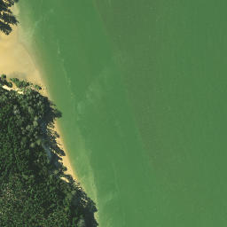 Satellite imagery of Island Point, NZ