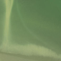 Satellite imagery of Island Point, NZ