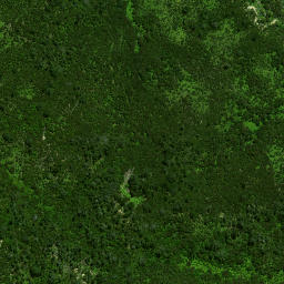 Satellite imagery of Pakaurangi Point, NZ