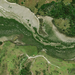 Satellite imagery of Te Hoanga Point, NZ