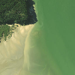 Satellite imagery of Island Point, NZ