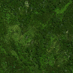 Satellite imagery of Pakaurangi Point, NZ