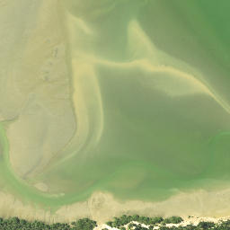 Satellite imagery of Island Point, NZ