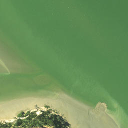 Satellite imagery of Island Point, NZ