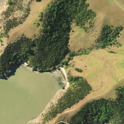 Satellite imagery of Owhareao Point, NZ