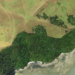 Satellite imagery of Owhareao Point, NZ