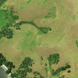Satellite imagery of Paparoa Point, NZ