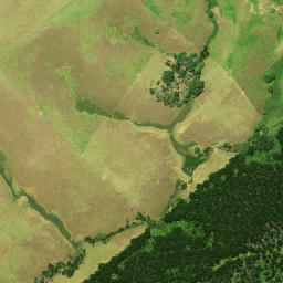 Satellite imagery of Paparoa Point, NZ