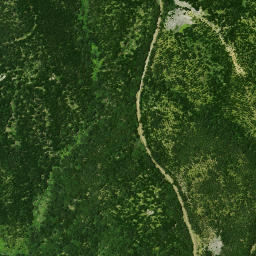 Satellite imagery of Puketi Point, NZ