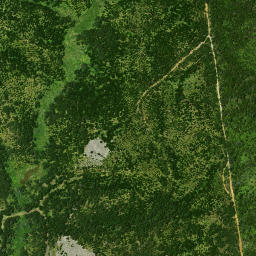 Satellite imagery of Puketi Point, NZ