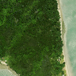 Satellite imagery of Pakaurangi Point, NZ