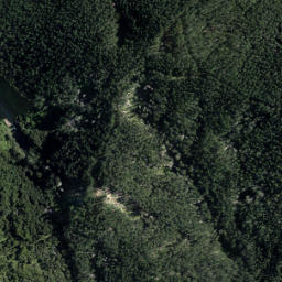 Satellite imagery of 2891, NZ