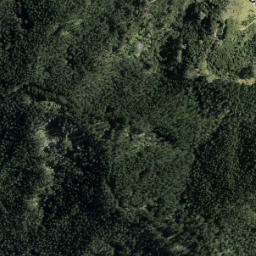 Satellite imagery of 2891, NZ