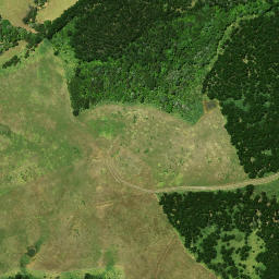 Satellite imagery of Paparoa Point, NZ