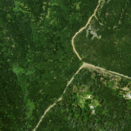 Satellite imagery of Puketi Point, NZ