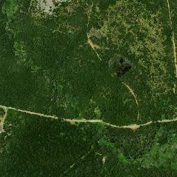 Satellite imagery of Puketi Point, NZ