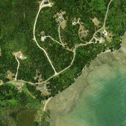 Satellite imagery of Puketi Point, NZ