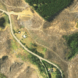 Satellite imagery of Te Waro Point, NZ