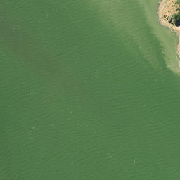 Satellite imagery of Owhareao Point, NZ