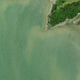 Satellite imagery of Paparoa Point, NZ