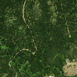 Satellite imagery of Te Whau Point, NZ