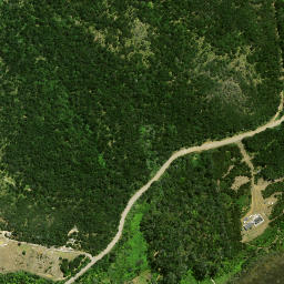 Satellite imagery of Te Whau Point, NZ