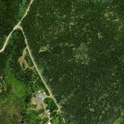 Satellite imagery of Puketi Point, NZ