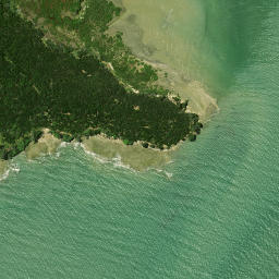 Satellite imagery of Puketi Point, NZ
