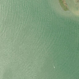 Satellite imagery of Ngamotu Point, NZ
