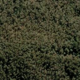 Satellite imagery of Mount Bolga, AU