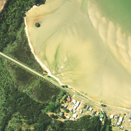 Satellite imagery of Te Waro Point, NZ