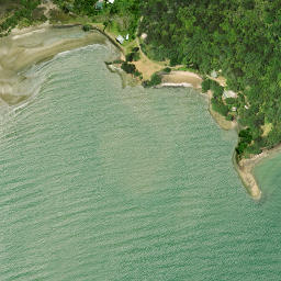 Satellite imagery of Te Whau Point, NZ