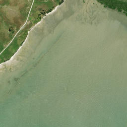 Satellite imagery of Ngamotu Point, NZ