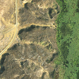 Satellite imagery of Te Waro Point, NZ