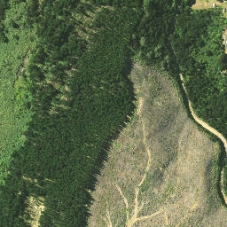 Satellite imagery of Te Waro Point, NZ