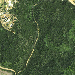 Satellite imagery of Te Waro Point, NZ