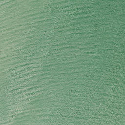 Satellite imagery of Te Whau Point, NZ