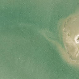 Satellite imagery of Ngamotu Point, NZ