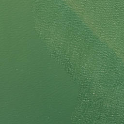 Satellite imagery of Te Kauri Point, NZ