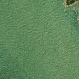 Satellite imagery of Te Kauri Point, NZ