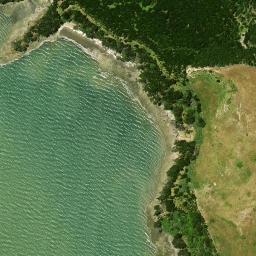 Satellite imagery of Te Kauri Point, NZ