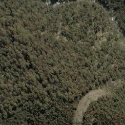 Satellite imagery of SMA 1226, AU